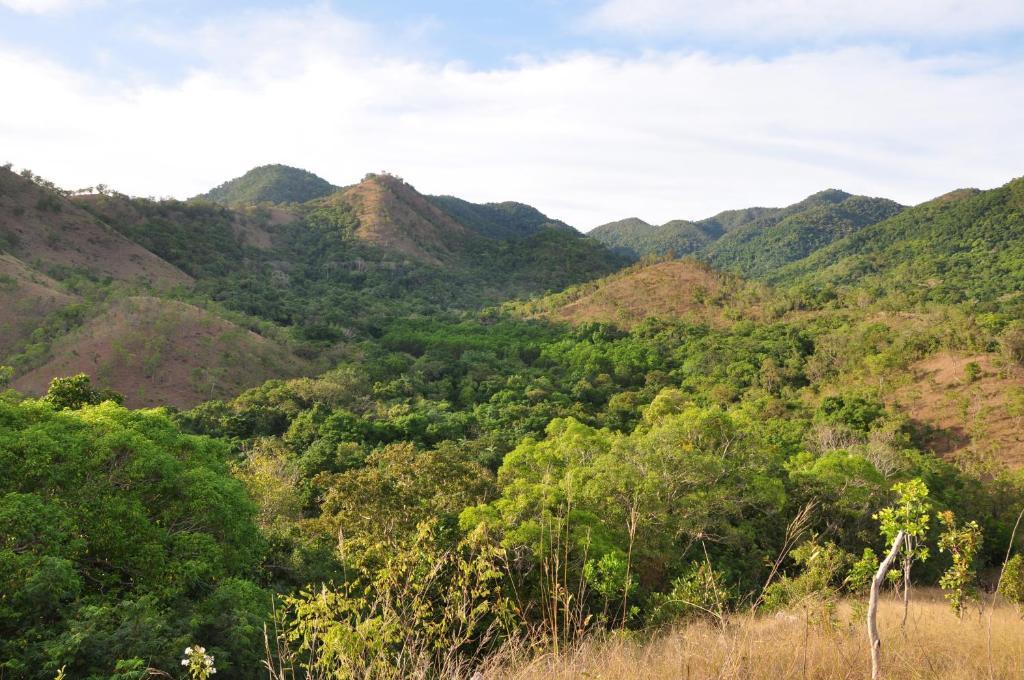 Busuanga Island Paradise Buitenkant foto